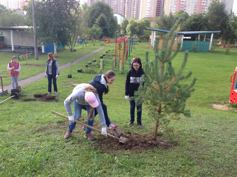 Волонтеры отряда «Добровольцы» из школы 2083 приняли участие в масштабной акции по высадке деревьев