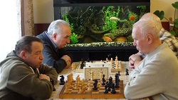 Шахматисты удачно выступили на турнире в Щербинке