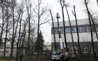 Удаление и санитарная обрезка деревьев проходит в поселении Рязановское 