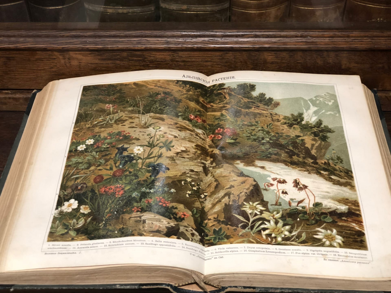 Сотрудники музея-усадьбы «Остафьево» рассказали о редкой книге в фонде