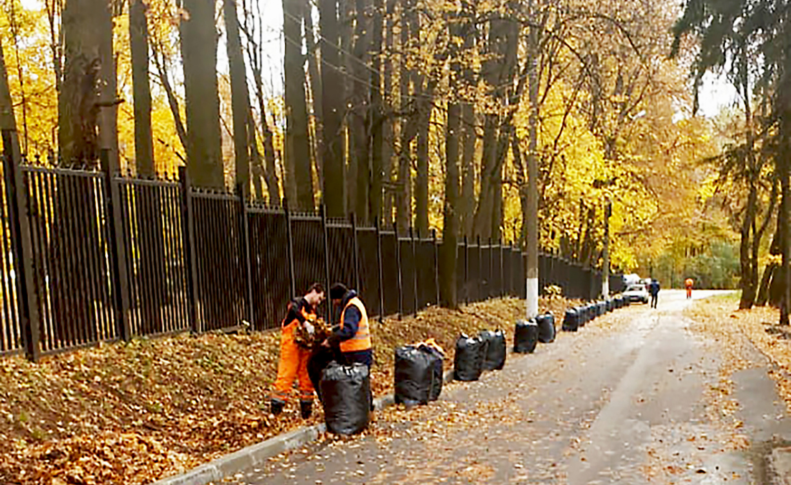 Мероприятия по уборке опавшей листвы проводятся в поселении Рязановское