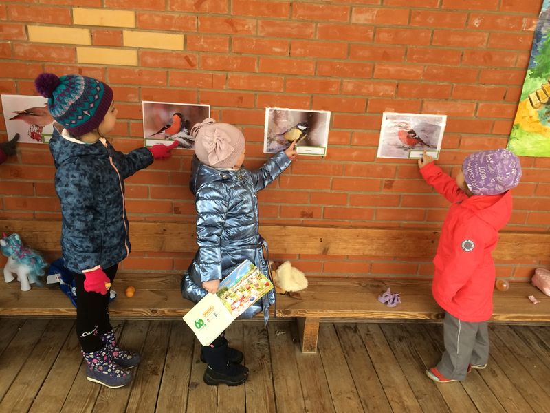 Воспитанники детского сада отметили День птиц 