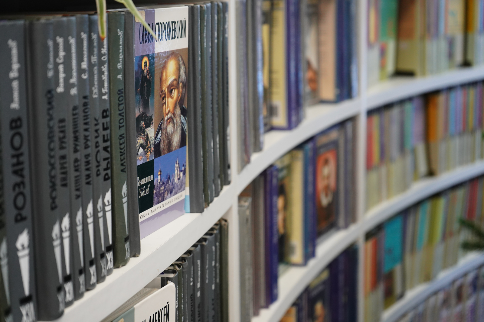 Приуроченная к Международному дню книгодарения акция пройдет в Доме культуры «Десна»