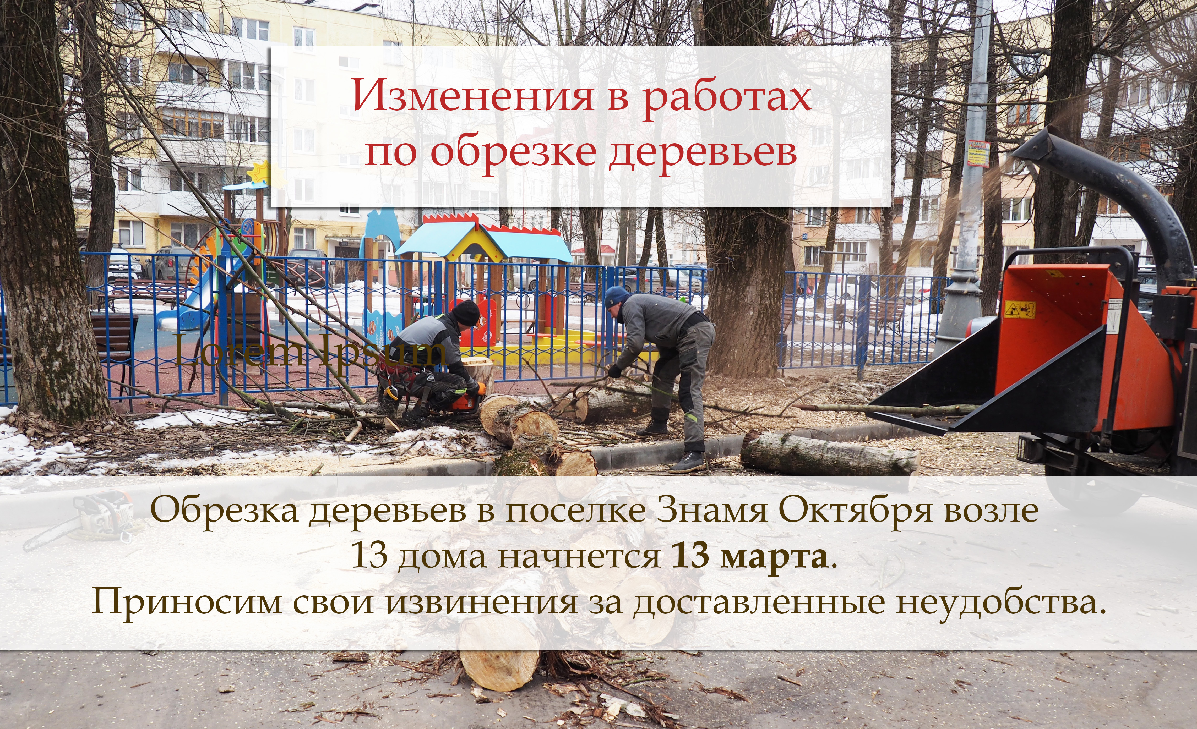 Изменения в работах по обрезке деревьев в поселке Знамя Октября вблизи дома №13