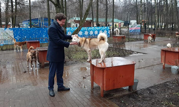 Александр Козлов: За жестокое обращение с животными в УК РФ существует уголовная статья