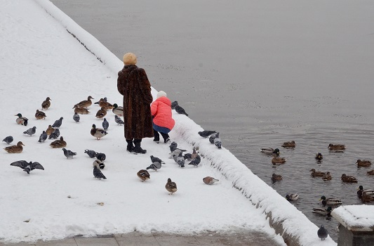 Теплая погода поспособствует увеличению популяции птиц в Москве