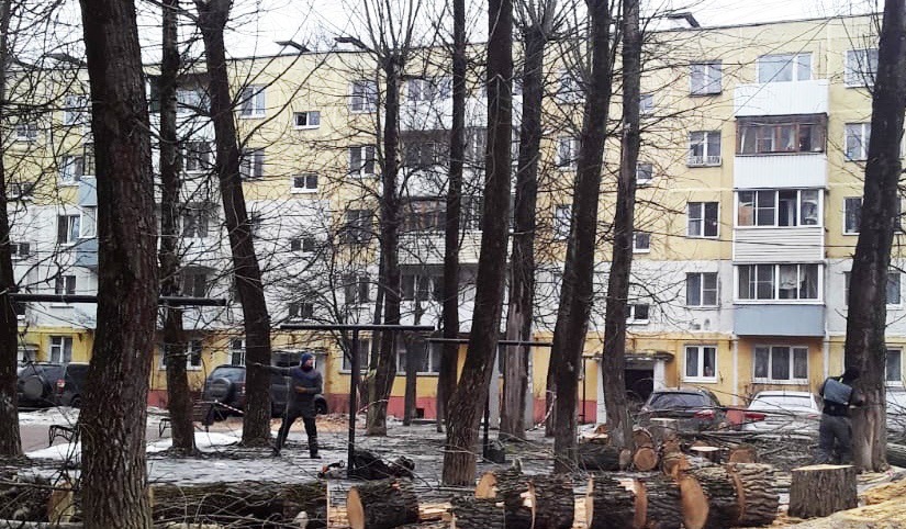 Опиловку деревьев провели в поселении Рязановское