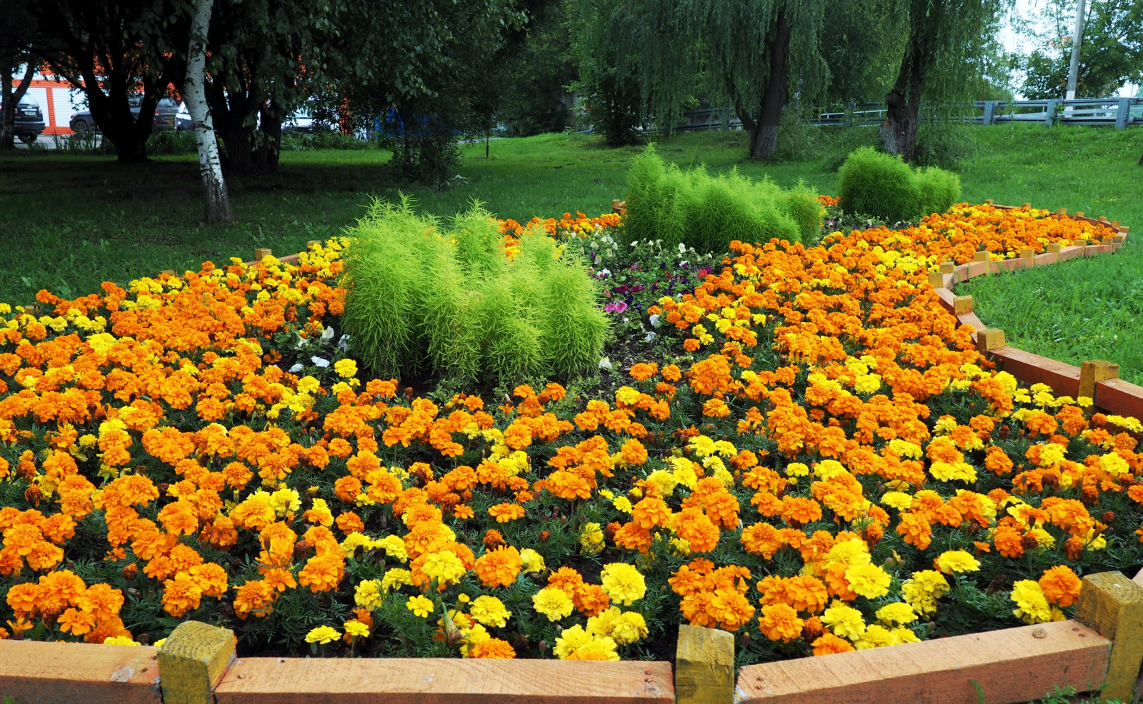 Цветы полили и удобрили в поселении Рязановское