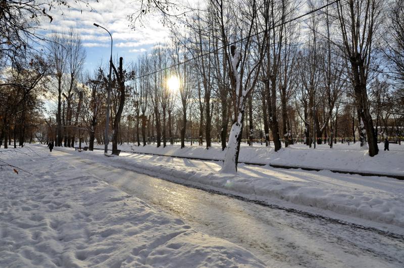 Более ста гектаров парков создали в Новой Москве