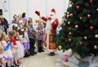 Новогодняя елка в Рязановском