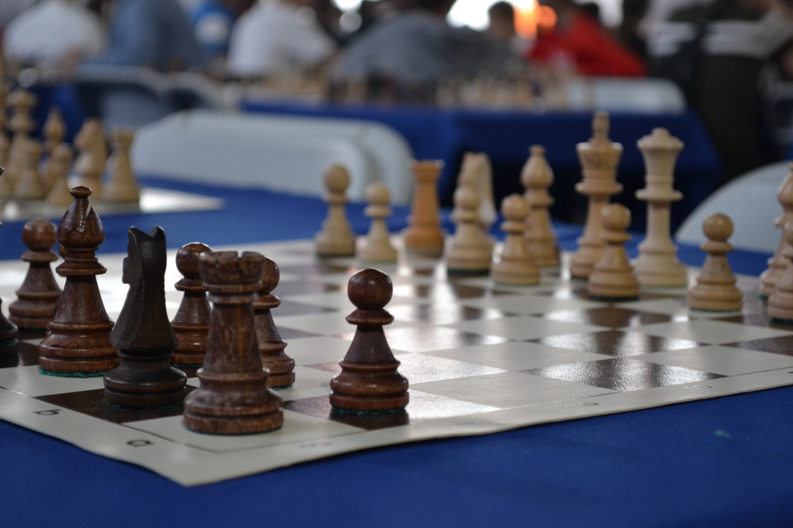 Ученики №2083 стали победителями по шахматам