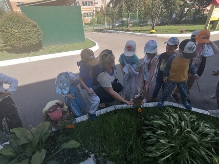 День цветов организовали для дошкольников
