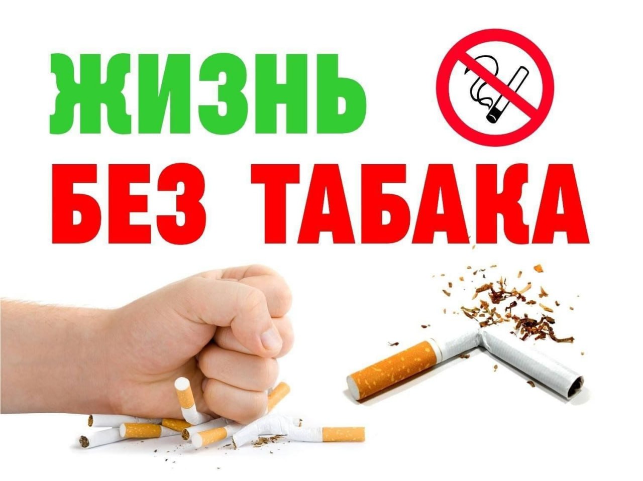 Текущая неделя в нашей стране объявлена неделей отказа от табака, а потому мы поговорим о его пагубном воздействии на человеческий организм.  