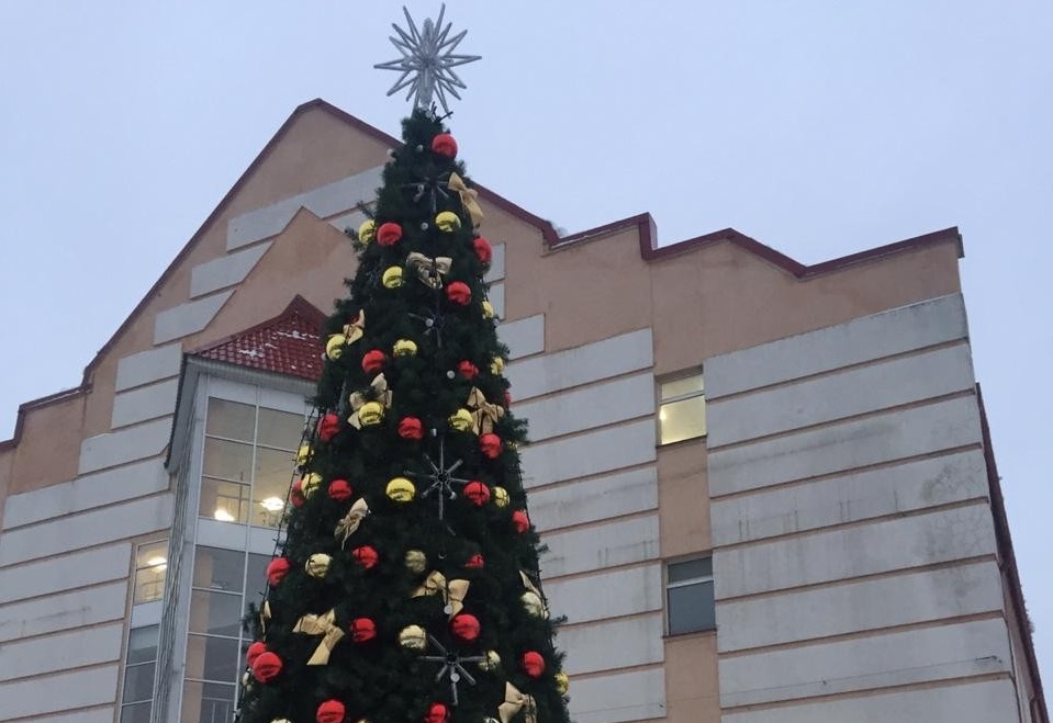 Поселение Рязановское украсят 5 новогодних елей