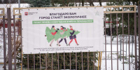 «Елочный круговорот»: москвичи выберут, где откроются пункты приема новогодних деревьев