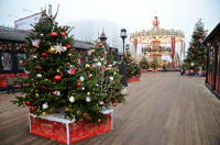 Москвичи поделятся видением о Новом годе в конкурсе фестиваля «Путешествие в Рождество»