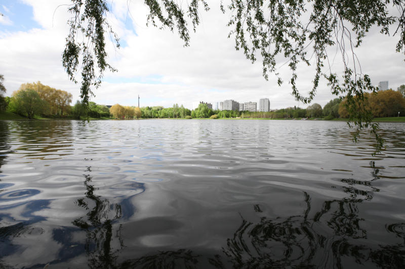 Экологическая акция «Чистый берег» пройдет в Москве осенью