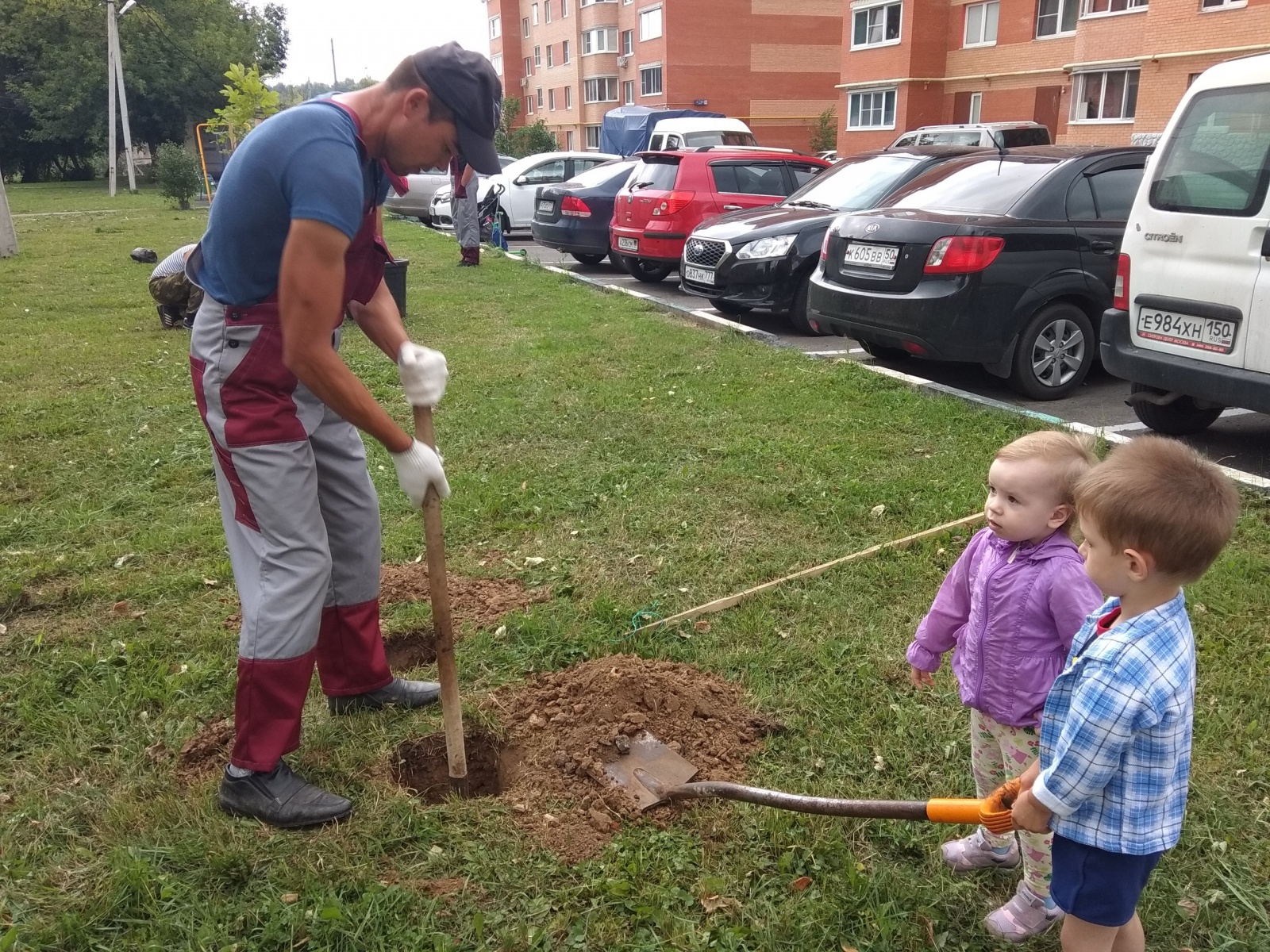 Акция по высадке деревьев состоялась в поселении Рязановское