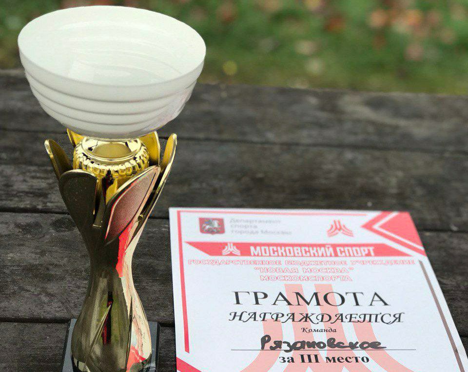 Спортсмены поселения Рязановское приняли участие в соревнованиях по игре в петанк