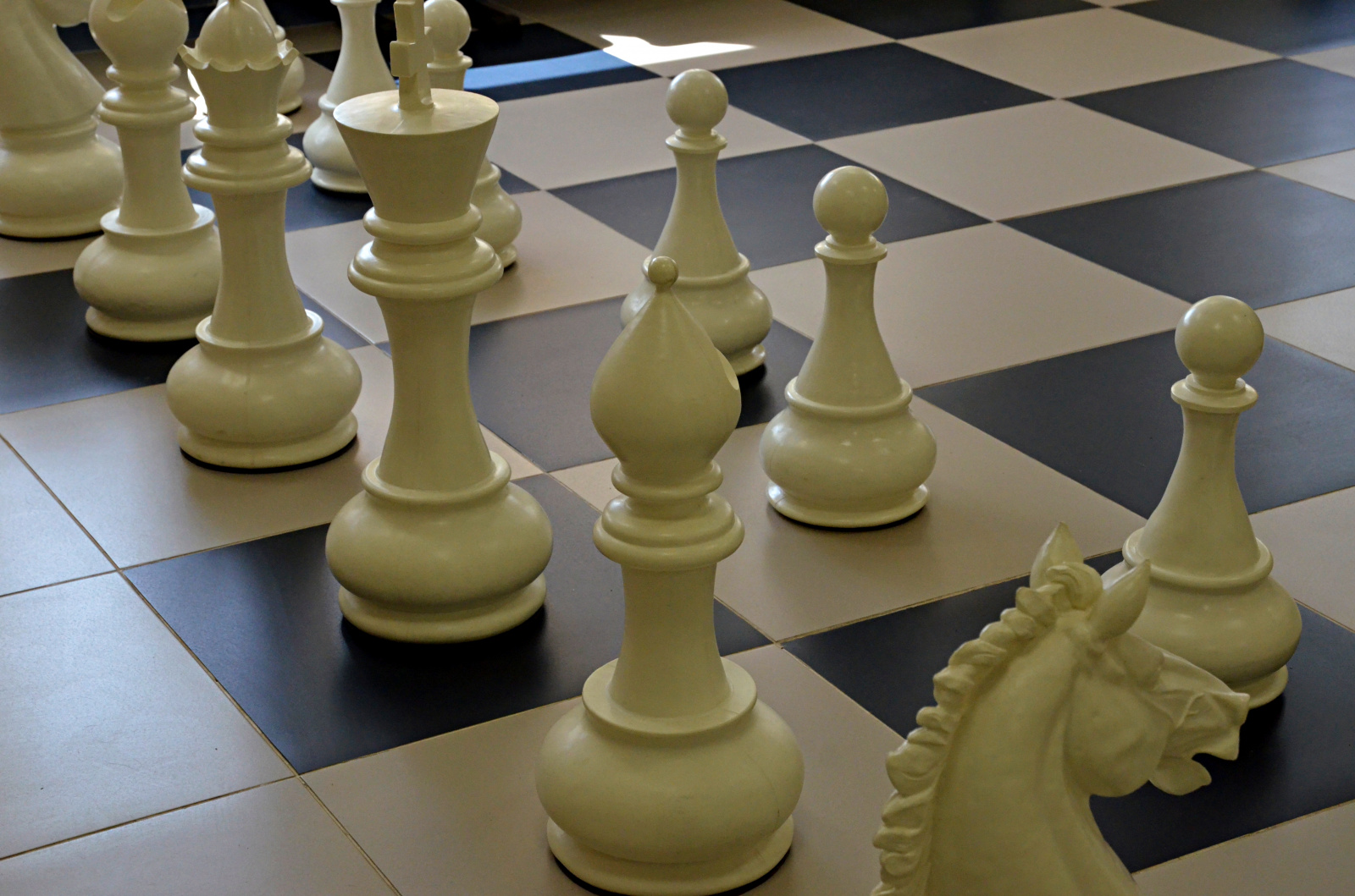 Команда школы №2083 выступила на городском шахматном турнире
