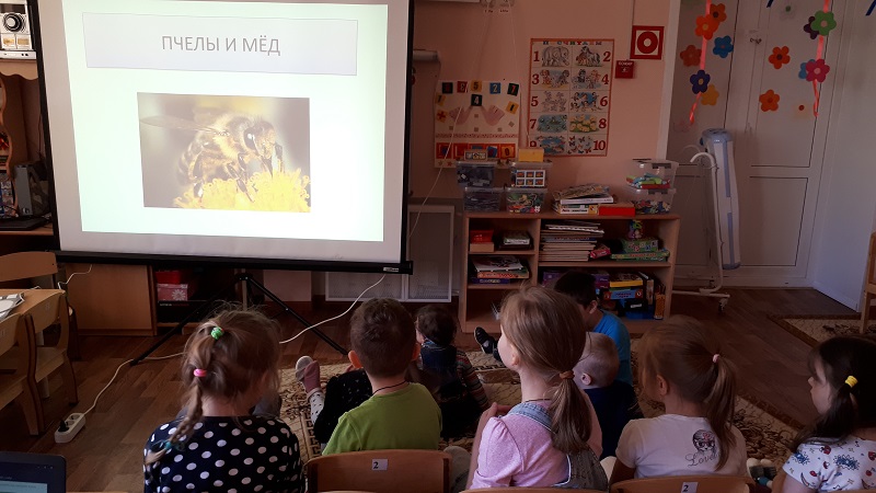 Международный день пчел: дошкольникам из Рязановского провели тематический урок 