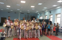 Спортивный фестиваль боевых искусств прошел  в СК "Десна"