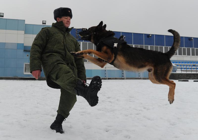 Сотрудники полиции и Росгвардии обеспечили безопасность жителей Новой Москвы в новогоднюю ночь