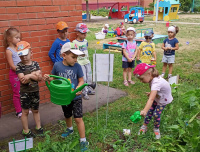 Рязановские дошкольники ухаживают за огородом