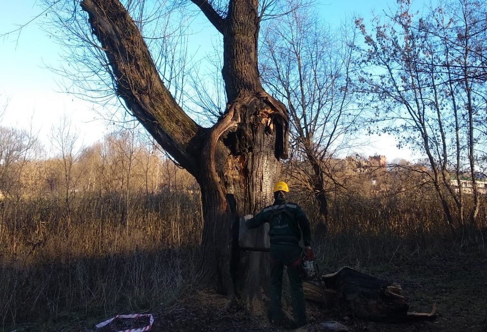 Специалисты обрезали деревья на территории поселения