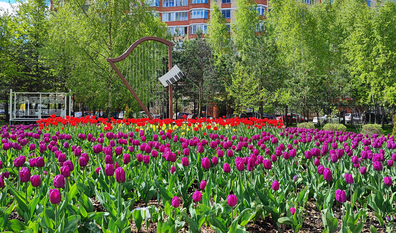 В городских теплицах начали готовить цветочную рассаду к весенне-летнему сезону