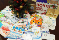 Молодежная палата поселения Рязановское завершила акцию «Письма Деду Морозу»
