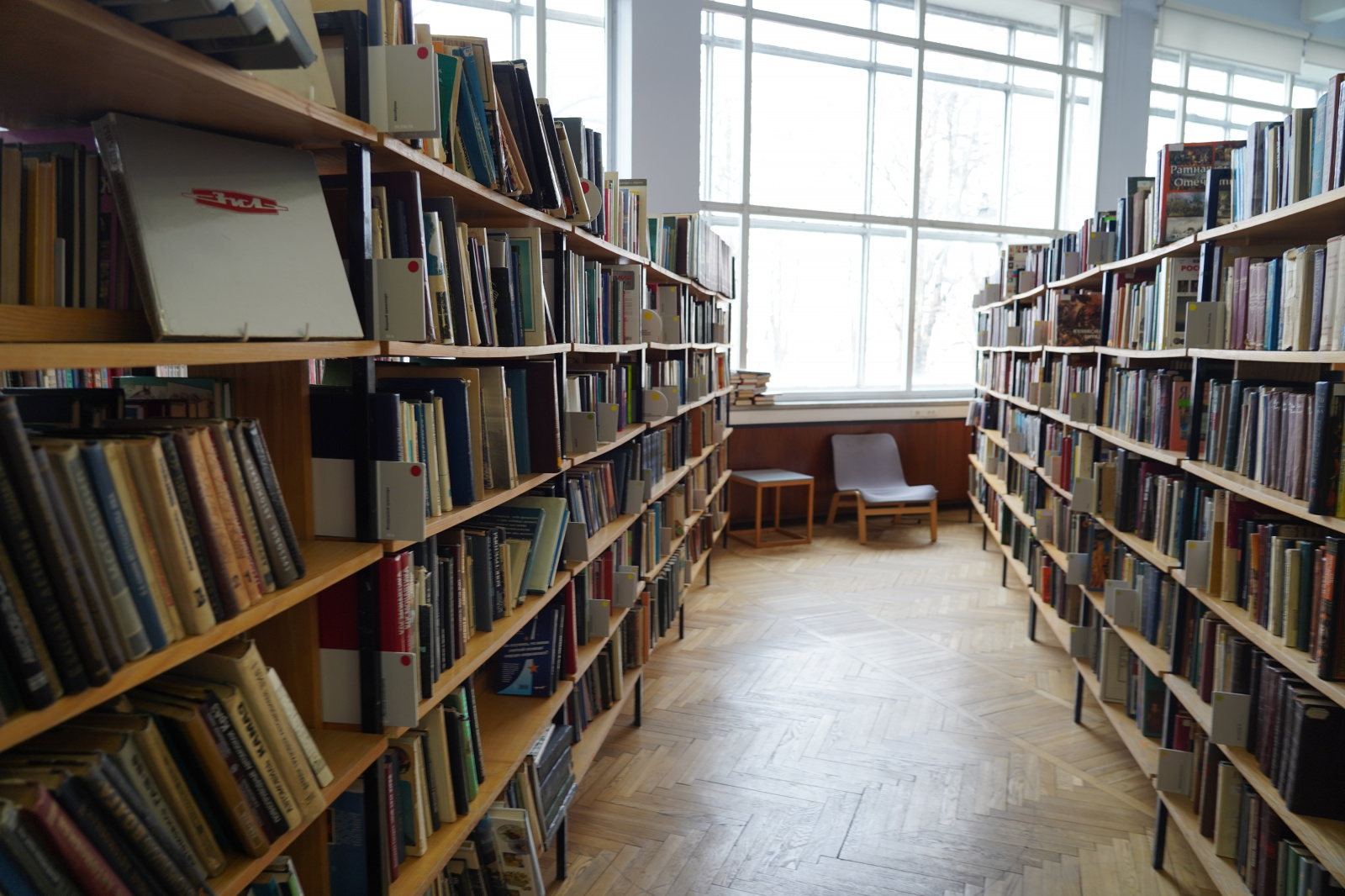 Специалисты назвали наиболее популярные произведения отечественных авторов в библиотеке Московской электронной школы
