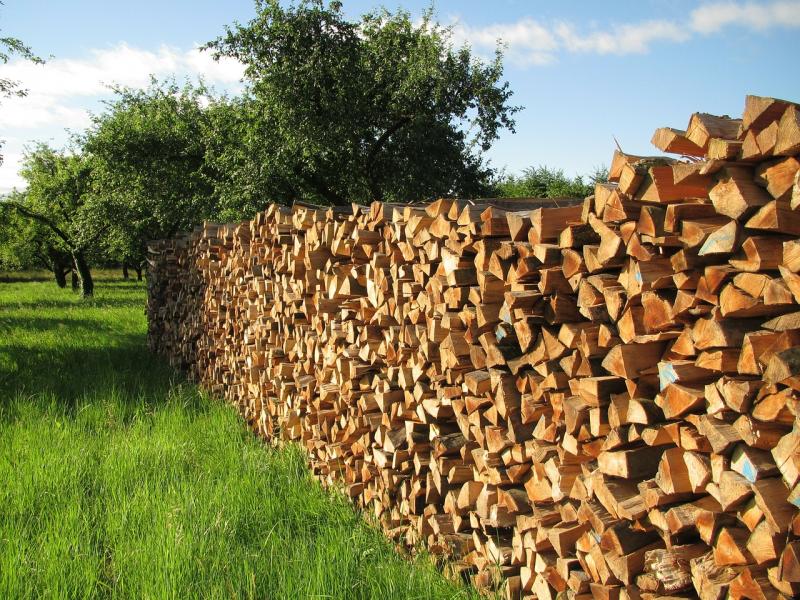 Доставка дров нуждающимся категориям граждан