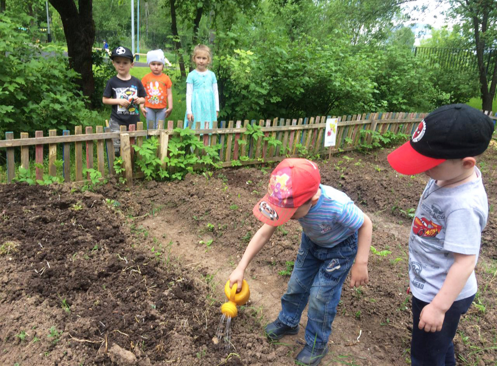 Рязановские дошкольники постигают азы огородных премудростей