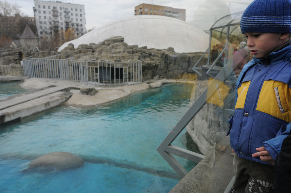 Праздничная программа ждет гостей Московского зоопарка 12 февраля