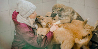 В Москве проходит серия весенних выездов в городские приюты для животных