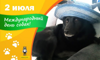 Молодежная палата поселения Рязановское запускает онлайн-акцию «Я и моя собака»