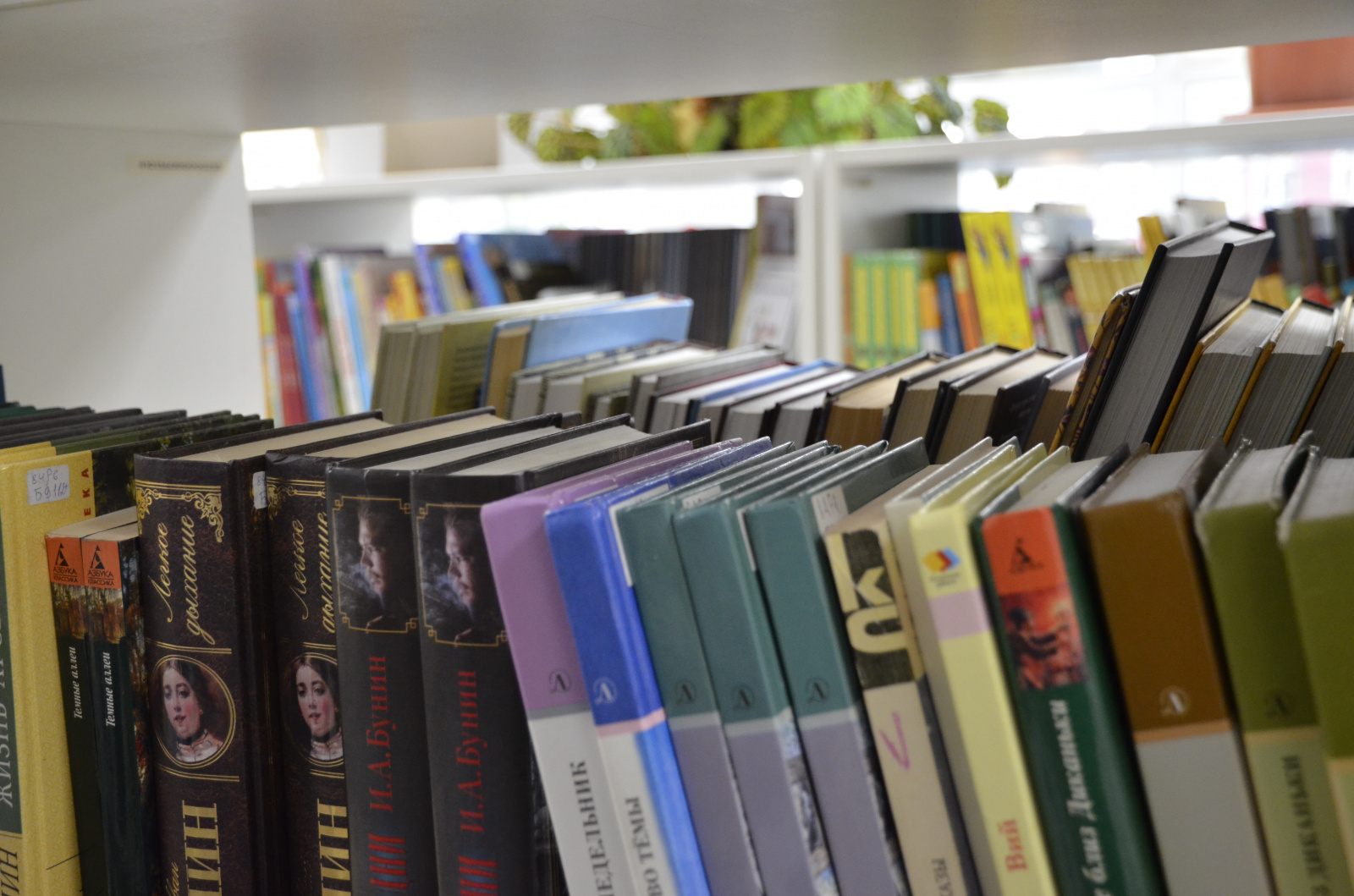  Выставка книг завершилась в библиотеке поселка Знамя Октября 