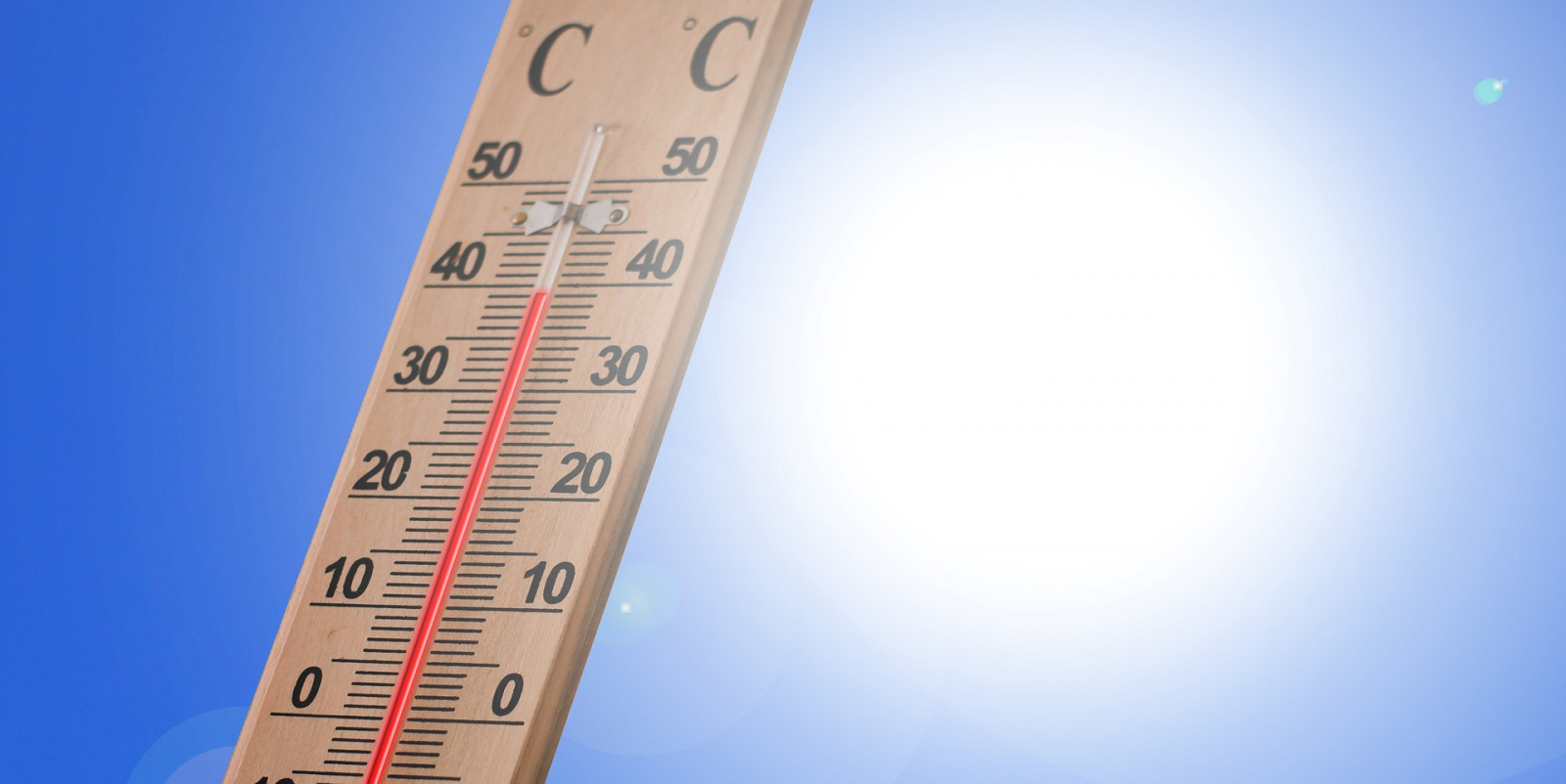 Сильная жара сохранится в Москве до пятницы