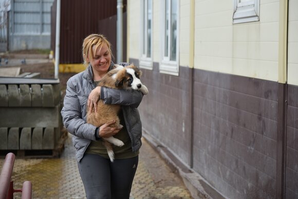 В Москве запустили онлайн-сервис «Хвосты и лапки» для помощи бездомным животным