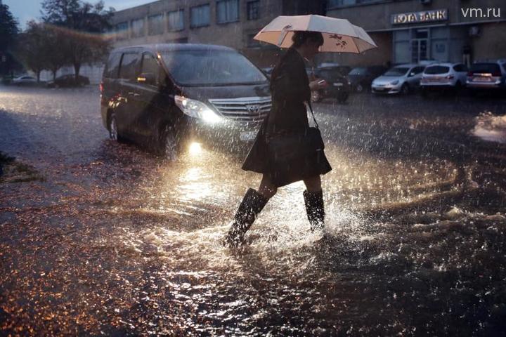 Жителей поселения Рязановское предупредили о дожде с грозами и порывистом ветре