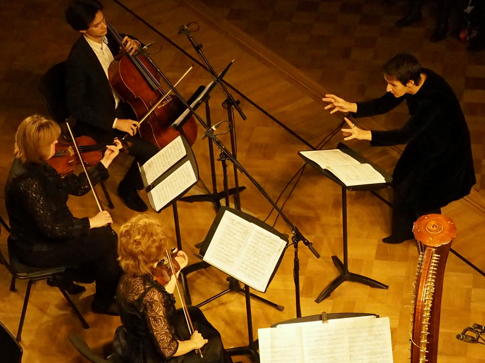 Музей-усадьба «Остафьево» приглашает на музыкальный концерт струнной музыки