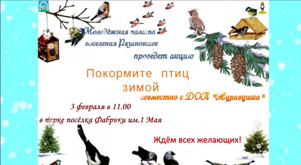 Молодежная плата проведет акцию «Покормите птиц зимой»