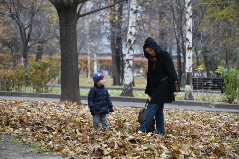 Свыше 80 зеленых зон появится в Новой Москве к 2035 году