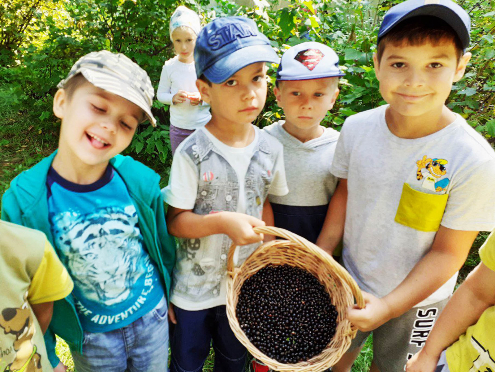 Рязановские дошкольники собирают урожай