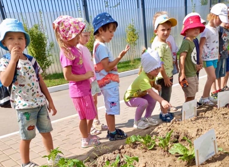 Дошкольники образовательного комплекса №2083 стали садоводами